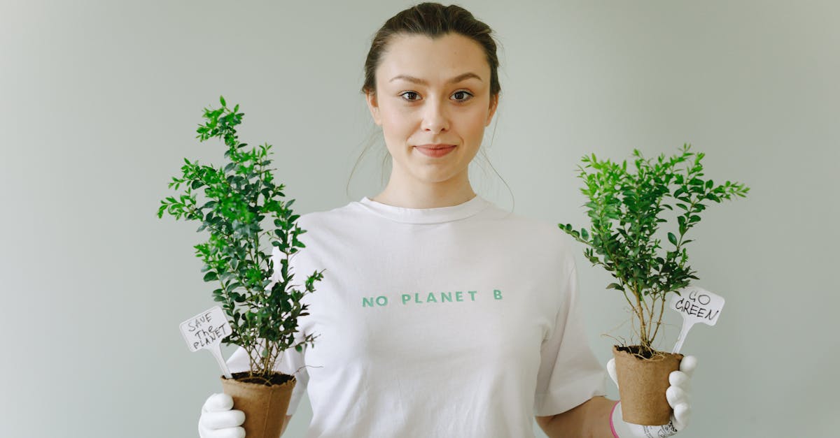 découvrez des initiatives durables innovantes qui favorisent la protection de notre planète. explorez des projets écologiques et des solutions durables pour un avenir meilleur.