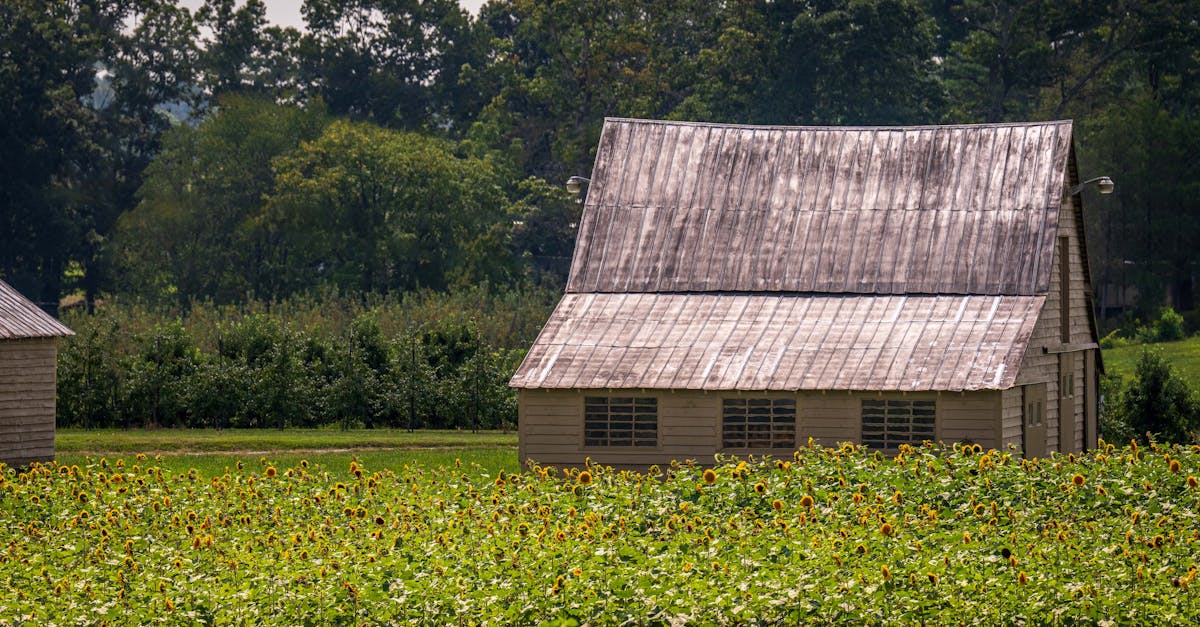 découvrez comment les tendances démographiques durables influencent le développement économique, social et environnemental. analyse et solutions pour un avenir équilibré et responsable.