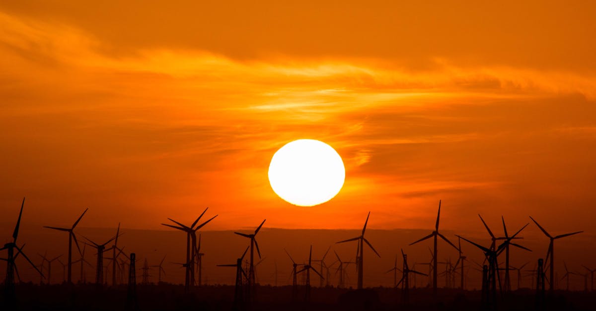 découvrez les dernières tendances en matière d'énergie renouvelable, explorez les technologies innovantes et apprenez comment elles contribuent à un avenir durable et respectueux de l'environnement.