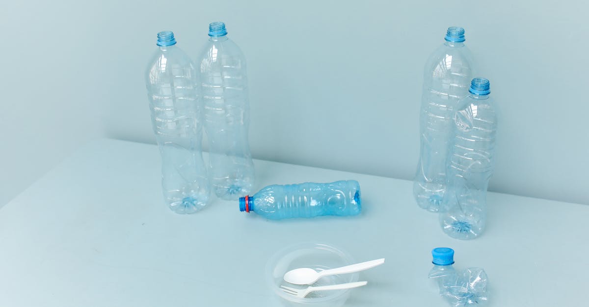 découvrez l'importance de la durabilité environnementale et apprenez comment adopter des pratiques responsables pour protéger notre planète. informez-vous sur des solutions innovantes et des actions concrètes pour un avenir durable.