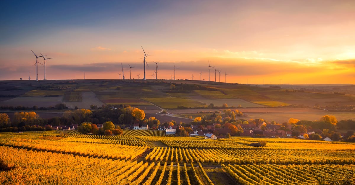 découvrez des solutions durables pour un avenir plus vert. explorez les pratiques éco-responsables et les innovations qui contribuent à la protection de notre planète tout en améliorant notre qualité de vie.
