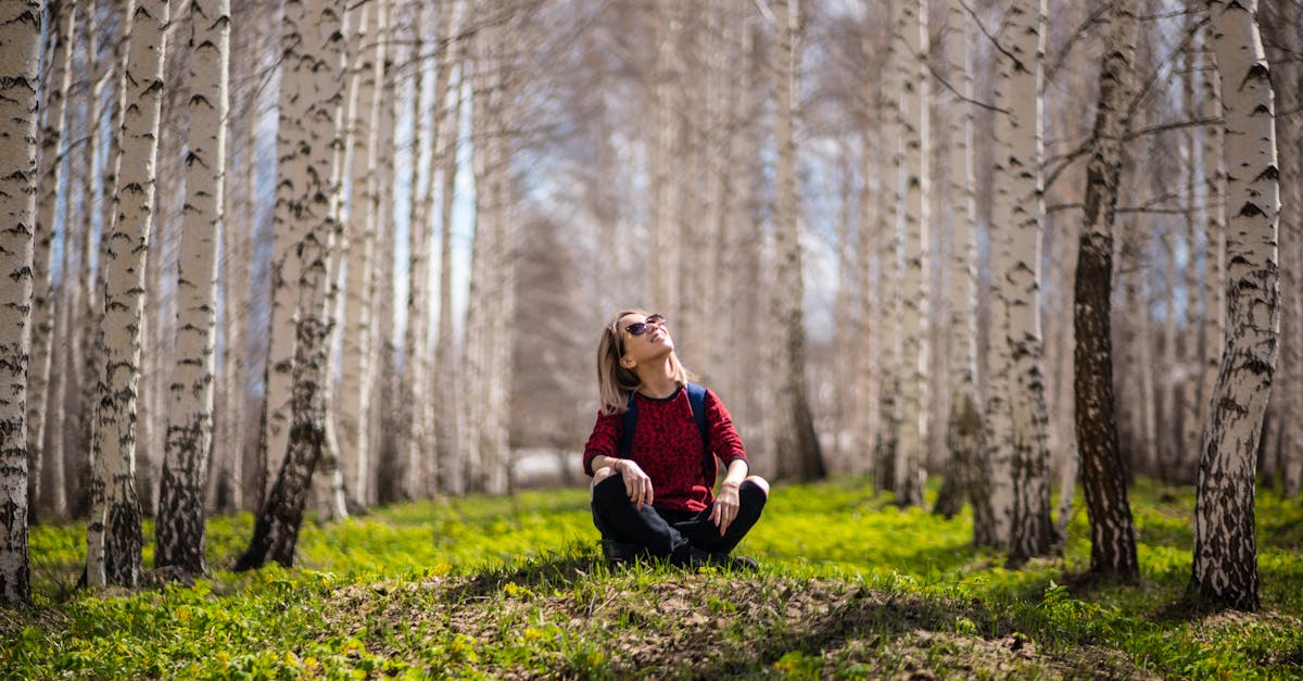 découvrez l'importance de la préservation de l'environnement, les enjeux écologiques actuels et les actions que chacun peut entreprendre pour protéger notre planète. apprenez à adopter des pratiques durables et à vivre en harmonie avec la nature.