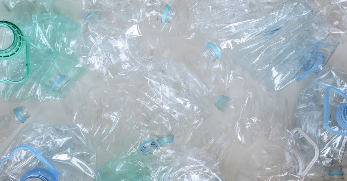 découvrez l'importance du recyclage pour notre planète. apprenez comment chaque geste compte et explorez les différentes méthodes pour recycler efficacement vos déchets. engagez-vous dans une démarche éco-responsable et contribuez à préserver les ressources naturelles.