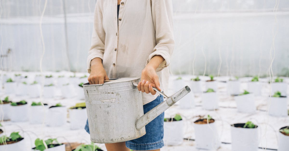 découvrez des astuces et des méthodes efficaces pour préserver l'eau et promouvoir la conservation de cette précieuse ressource. apprenez comment réduire votre consommation d'eau au quotidien et contribuer à un environnement durable.