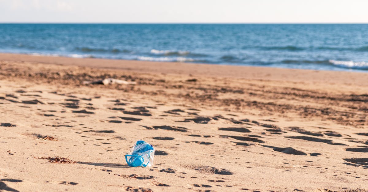 découvrez les meilleures pratiques pour une gestion durable des zones côtières, alliant protection de l’environnement, développement économique et adaptation au changement climatique.