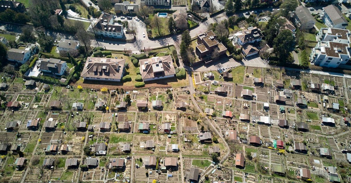 découvrez les zones vertes, ces havres de paix en milieu urbain où la nature reprend ses droits. apprenez-en plus sur leur importance pour la biodiversité, le bien-être des citadins, et les initiatives pour les préserver et les développer.