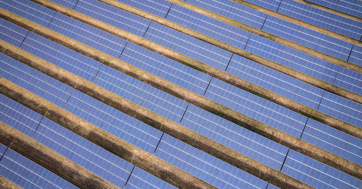 découvrez l'importance des ressources durables pour un avenir écologique. apprenez comment elles peuvent réduire l'impact environnemental et promouvoir une économie verte tout en préservant notre planète pour les générations futures.