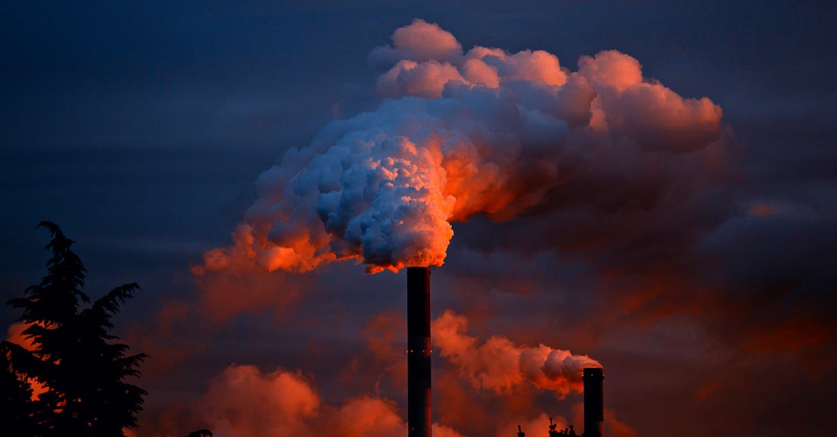 découvrez l'écologie industrielle, une approche innovante qui vise à optimiser les processus de production tout en minimisant l'impact environnemental. explorez comment les entreprises peuvent collaborer pour recycler les ressources, réduire les déchets et favoriser un développement durable.