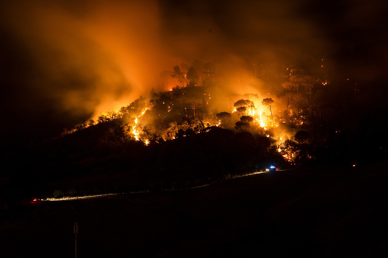 découvrez l'urgence climatique : causes, impacts et actions essentielles pour préserver notre planète face au réchauffement global.