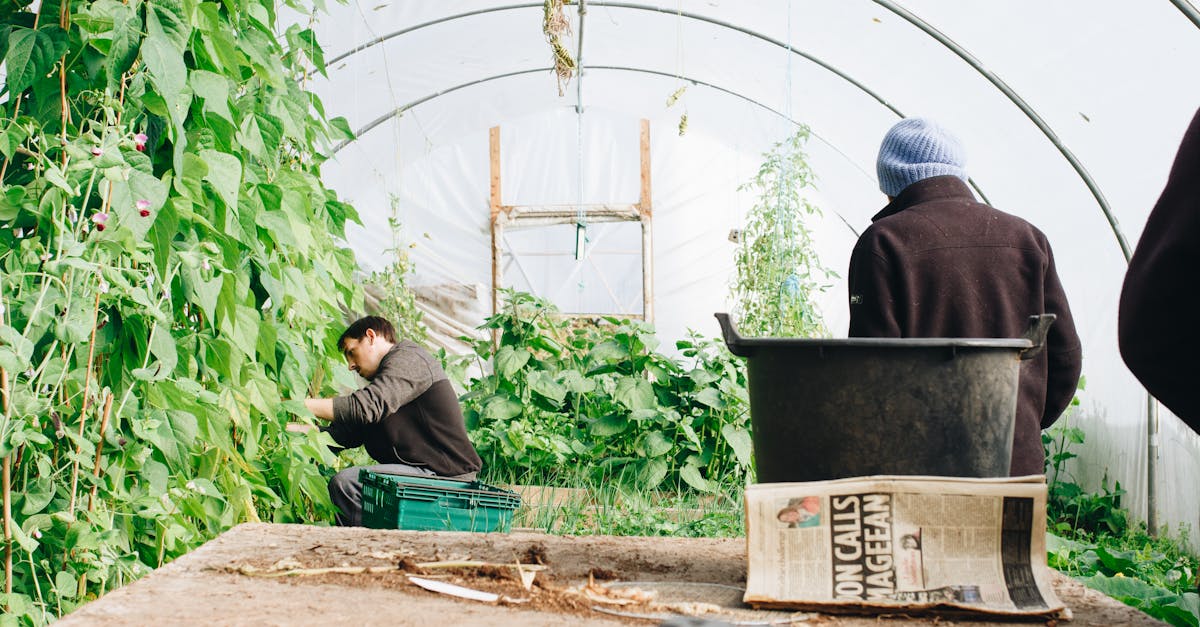 découvrez l'agriculture durable, une approche innovante qui vise à produire des aliments de manière respectueuse de l'environnement, tout en préservant les ressources naturelles et en soutenant les communautés locales. apprenez comment cette méthode favorise la biodiversité et lutte contre le changement climatique.