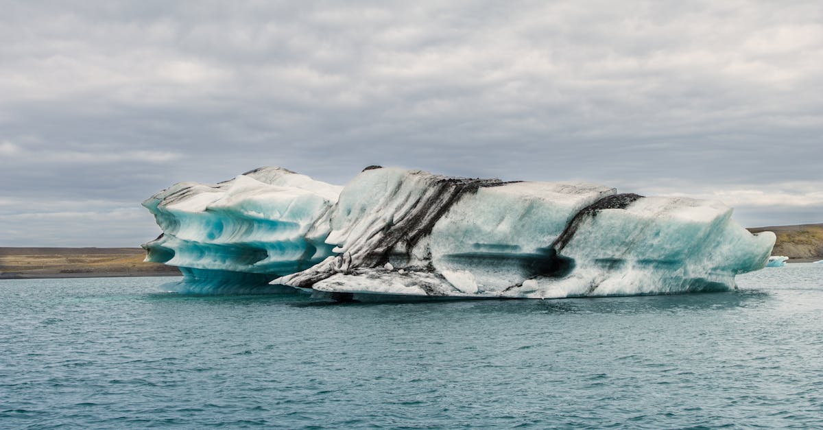 découvrez des stratégies efficaces pour atténuer le changement climatique. apprenez comment réduire les émissions de gaz à effet de serre, favoriser les énergies renouvelables et adopter des pratiques durables pour un avenir écologique.