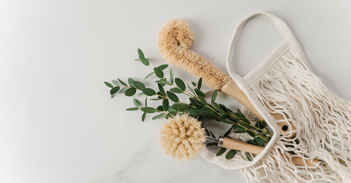 découvrez l'importance de la durabilité environnementale pour préserver notre planète. explorez des pratiques écologiques, des innovations durables et des solutions pour un avenir plus vert.