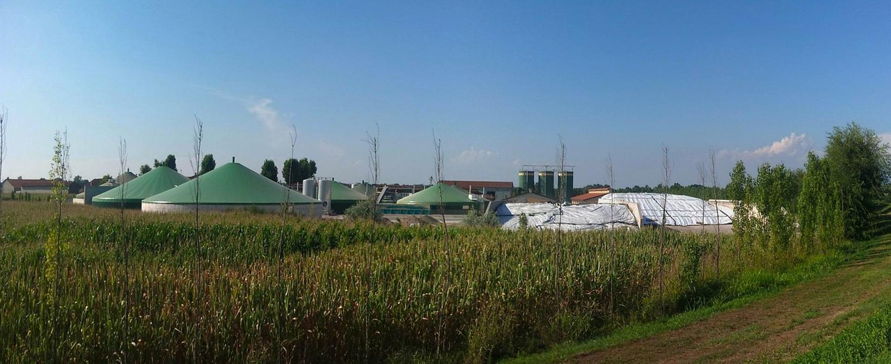 découvrez le biogaz : une énergie renouvelable produite à partir de déchets organiques, idéale pour réduire l'empreinte carbone et promouvoir la transition énergétique. apprenez-en plus sur ses avantages, son fonctionnement et ses applications.