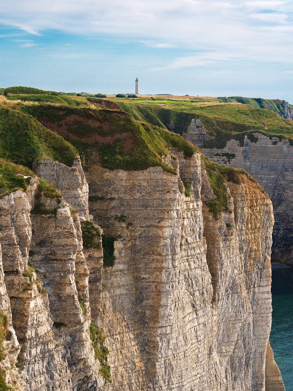 découvrez france fertilisants, spécialiste en solutions innovantes pour l'agriculture durable et la fertilisation des sols, pour des cultures saines et productives.