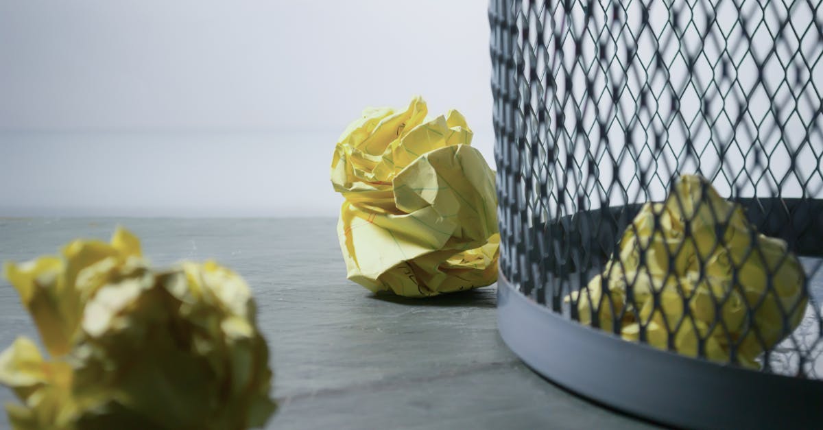 découvrez les meilleures pratiques et solutions innovantes pour la gestion des déchets, afin de préserver l’environnement et optimiser le recyclage au quotidien.