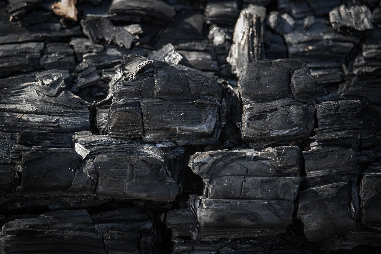 Bilan carbone : un indicateur de performance durable
