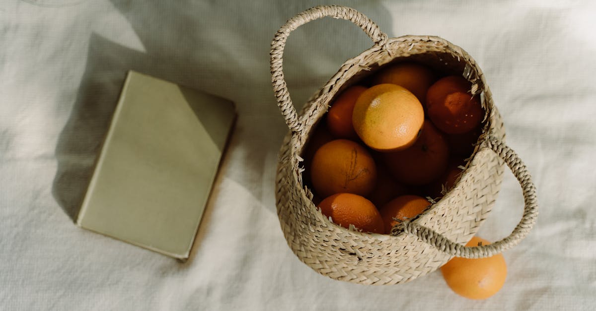 Réduction de l’empreinte écologique : 10 astuces simples pour un mode de vie durable