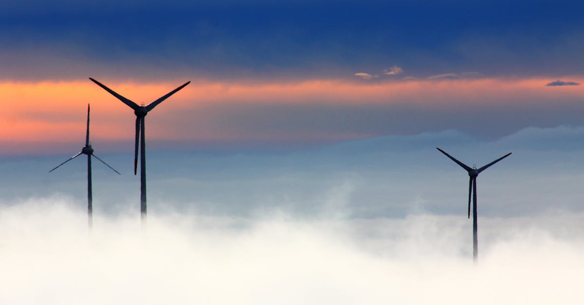 Énergies renouvelables : les avantages et défis de la transition énergétique