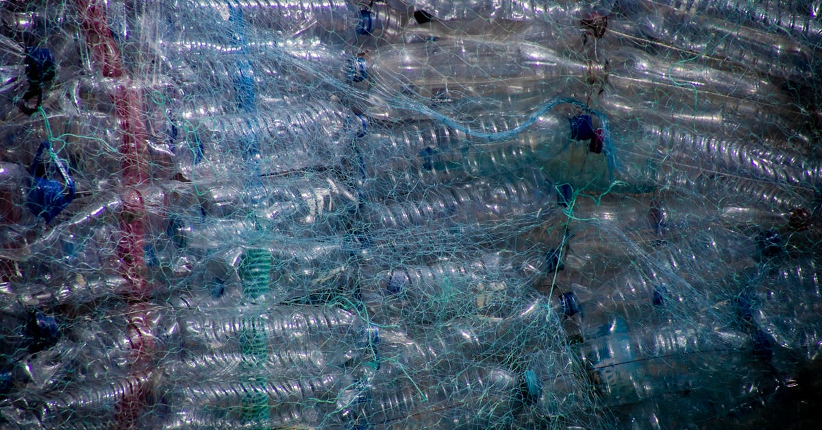 Lutte contre le gaspillage : des solutions pratiques pour réduire vos déchets