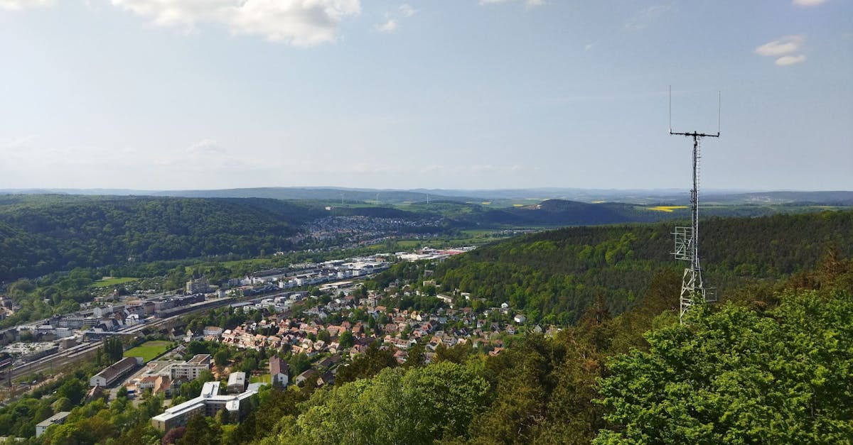 Forêts urbaines : un atout indispensable pour la biodiversité en ville