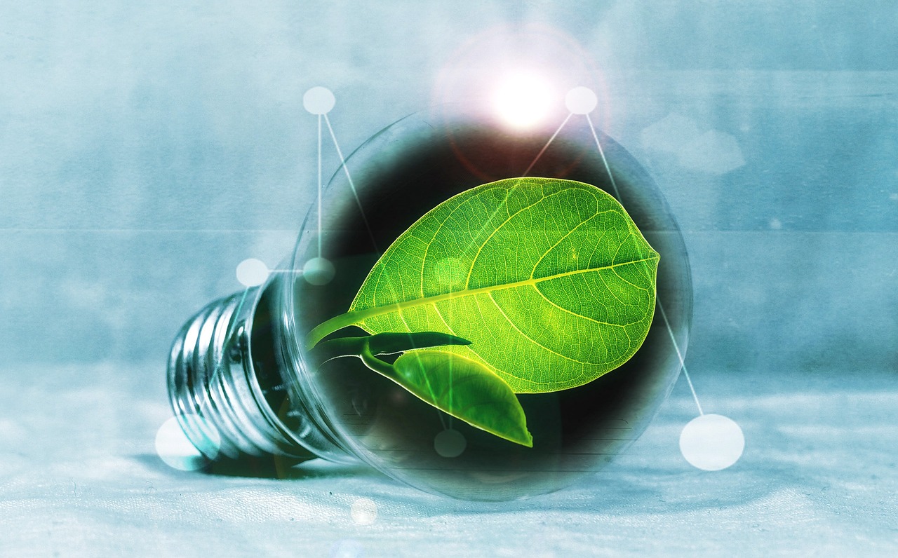 Grands Prix Bas-Carbone : le Grand Paris célèbre les projets phares de la transition énergétique et écologique