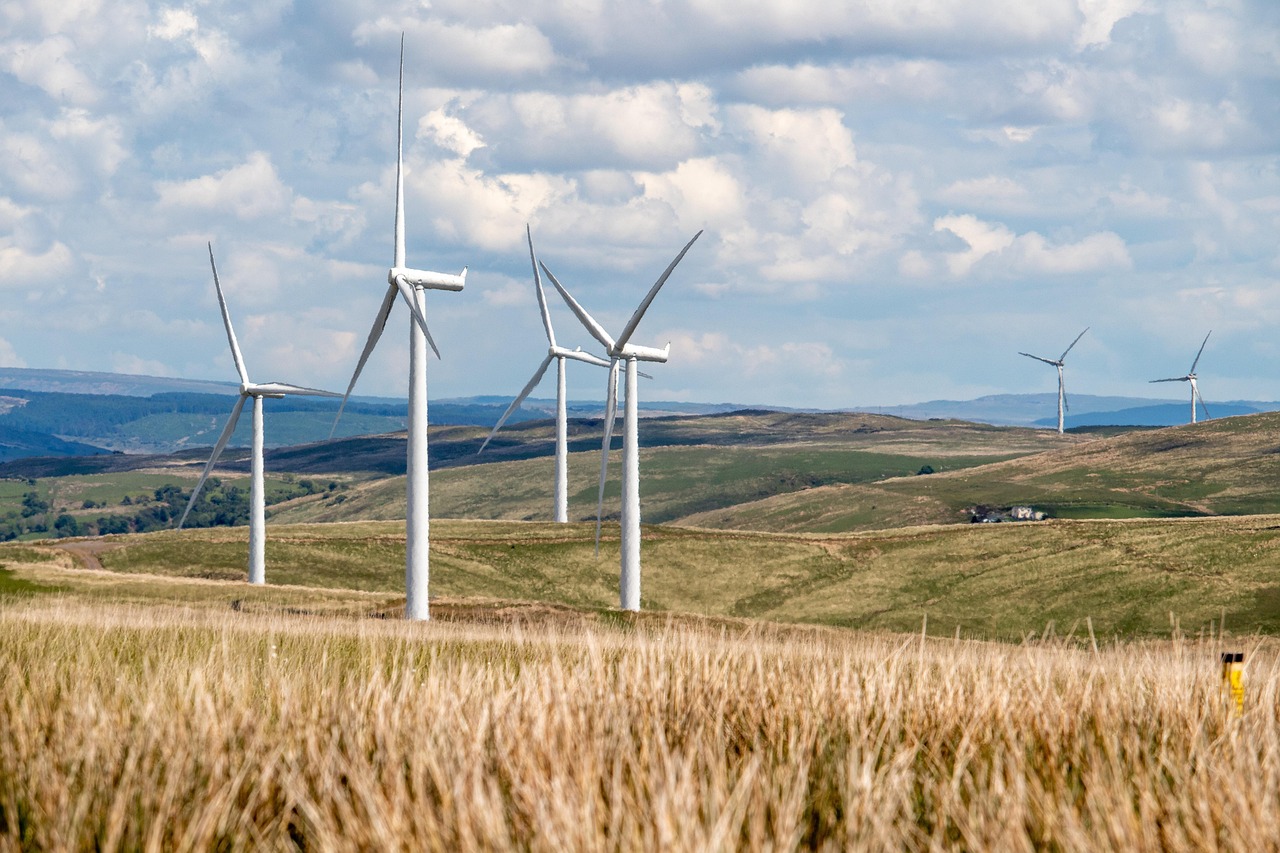 Optimiser notre empreinte écologique : Vers une gestion durable de l’environnement