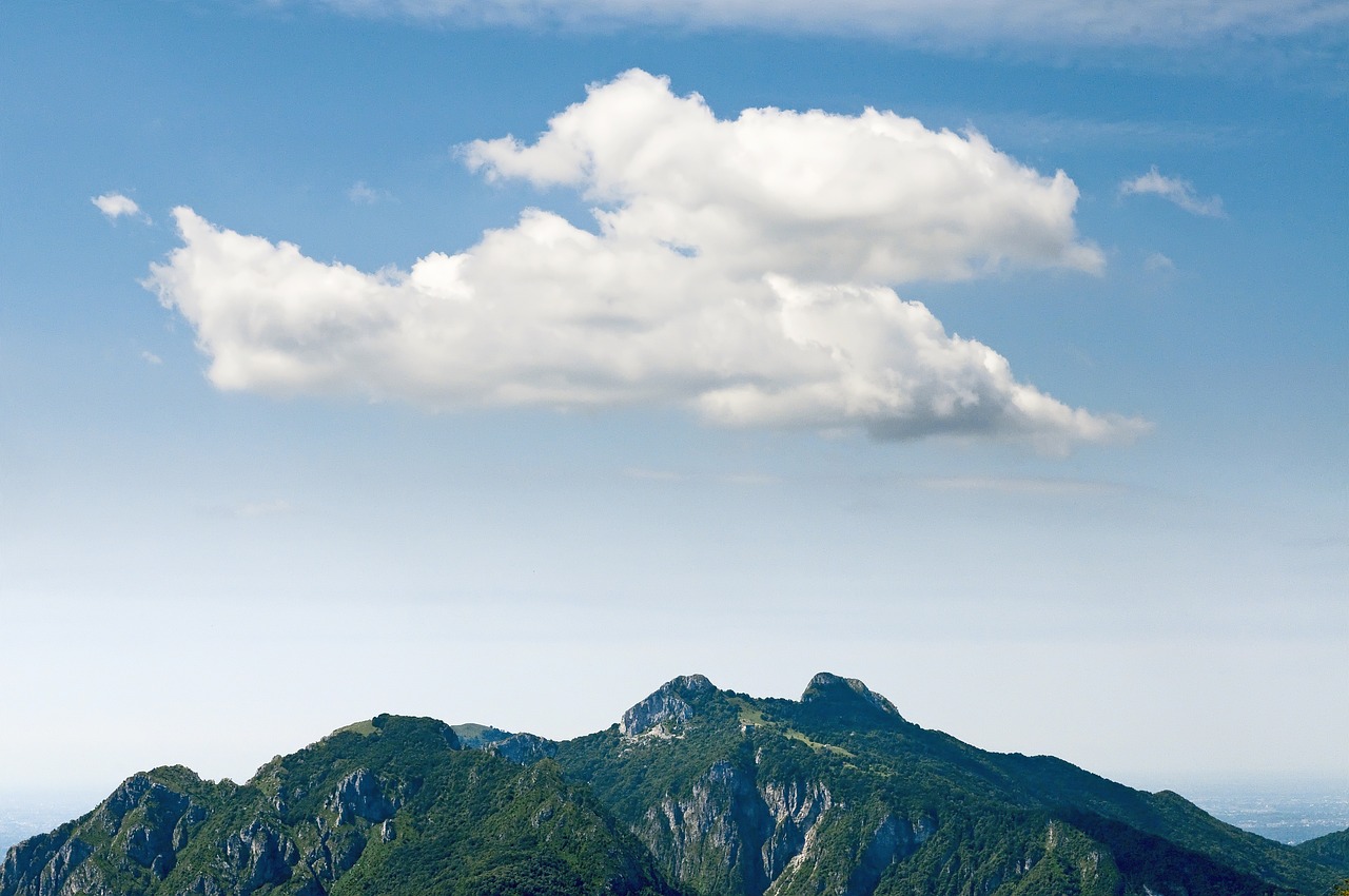 Amazon et ses enjeux : Une alliance entre Cloud et énergies renouvelables en question ?