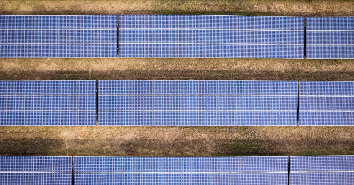 Développement durable : Les clés pour une transition écologique réussie