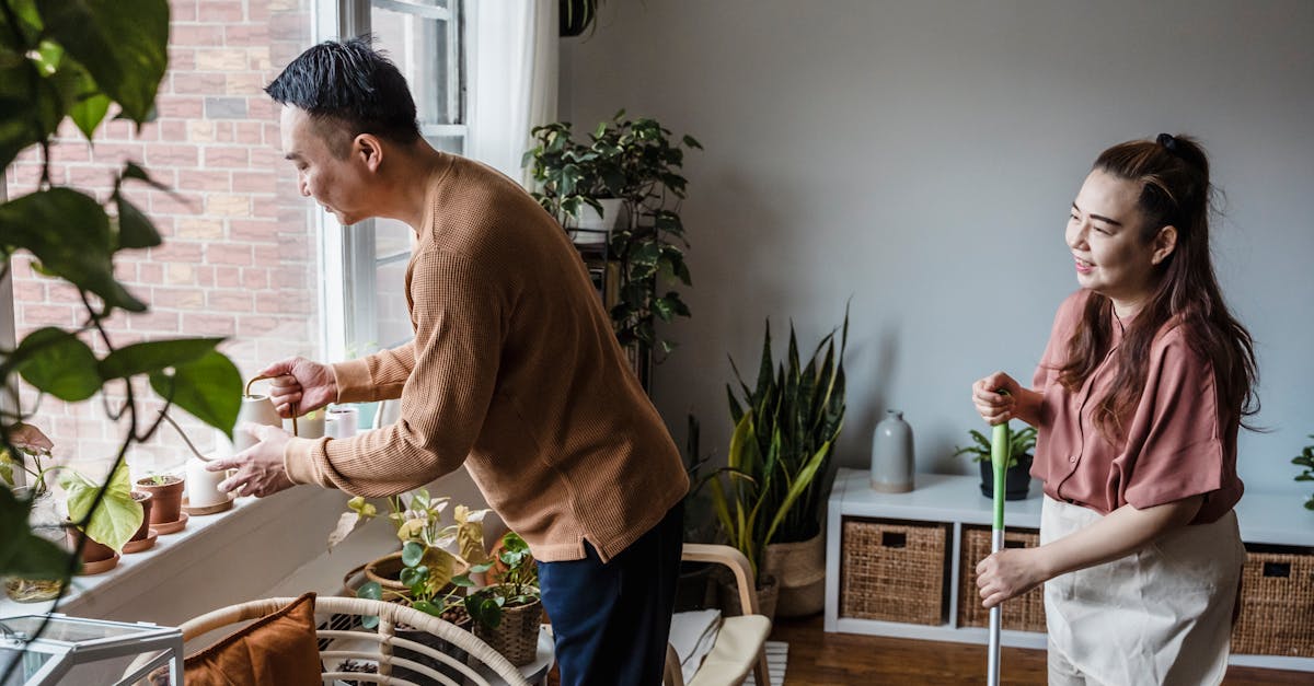 Cohabitation urbaine : défis et opportunités pour les citadins modernes