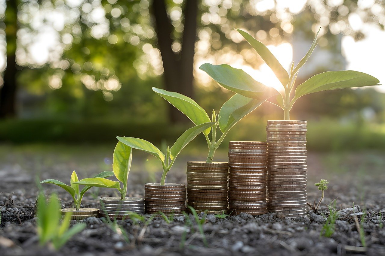 Économie durable : l’essor remarquable des modèles coopératifs au cœur du changement