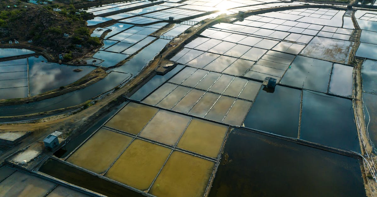 Littoral durable : stratégies pour préserver nos côtes face aux défis environnementaux