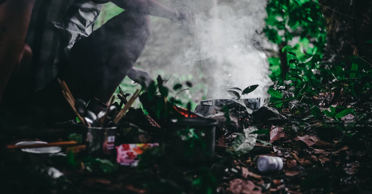 Déchets : Comprendre leur impact sur l’environnement et comment réduire notre empreinte