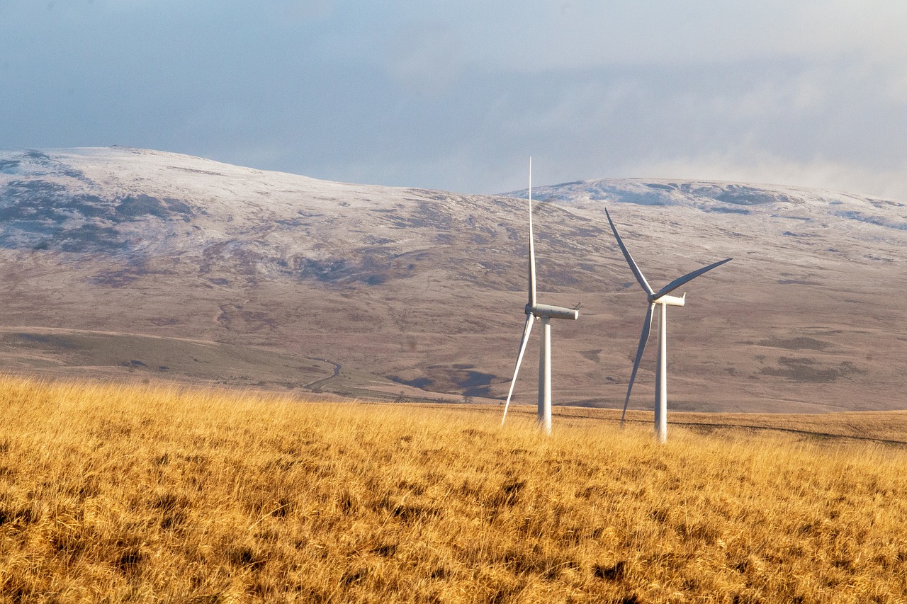 Énergies renouvelables en milieu rural : un bilan carbone positif