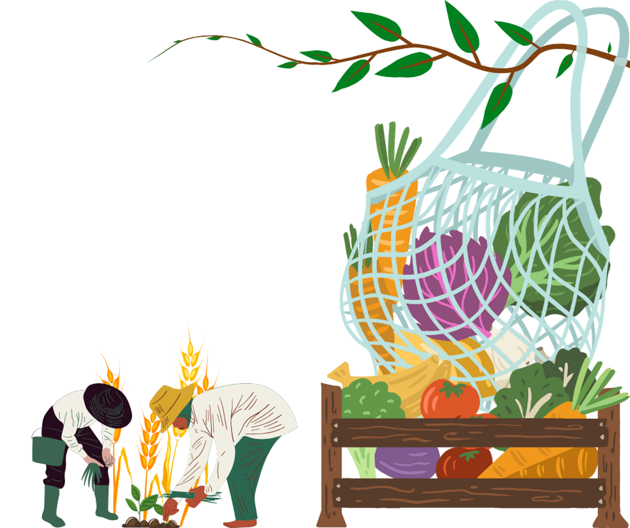 évaluation écologique des studios d’animation, de postproduction et d’effets visuels