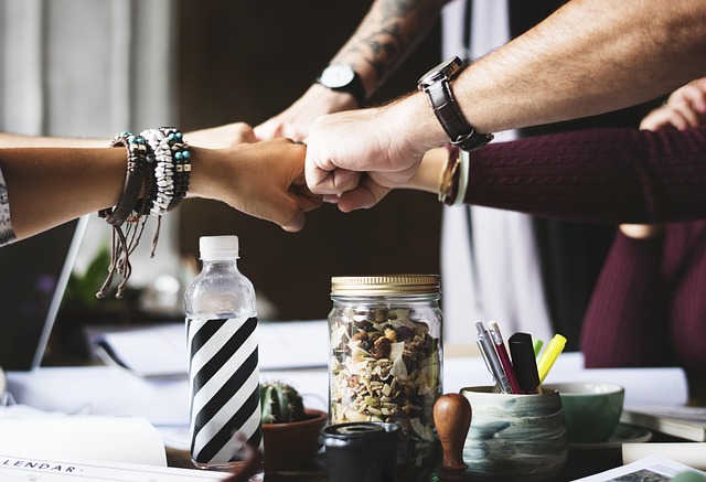 Écologie et économie : comment concilier développement et respect de la planète