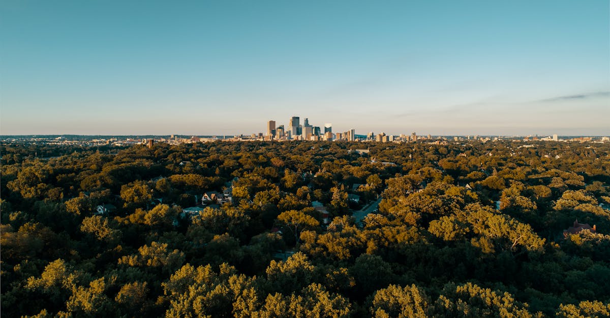 Ville durable : Comprendre les principes d’un urbanisme écologique