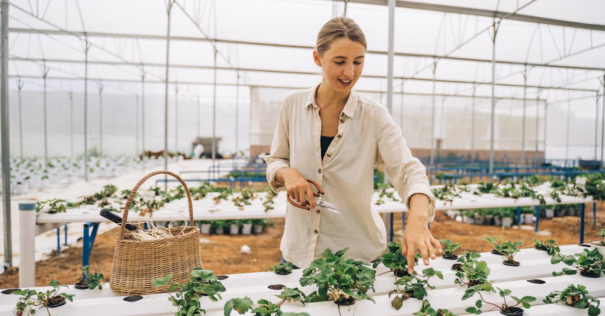 Changement environnemental : Comprendre les enjeux et solutions pour un avenir durable