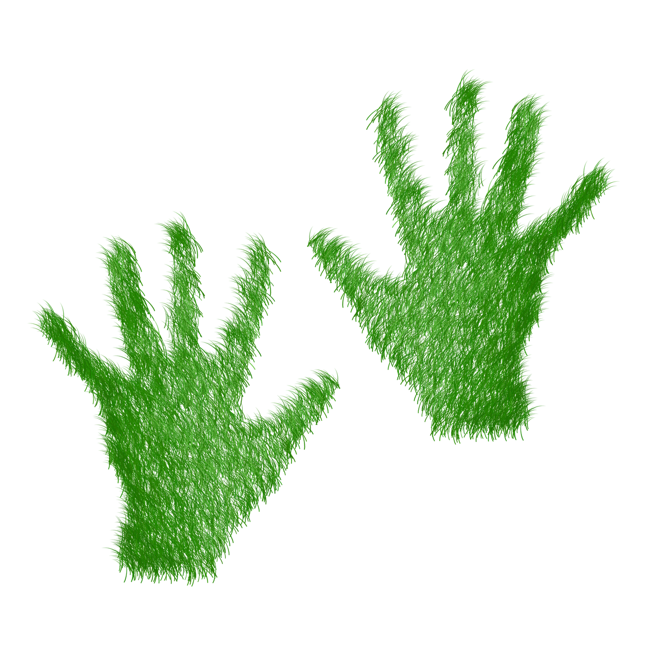 Minimiser notre empreinte écologique