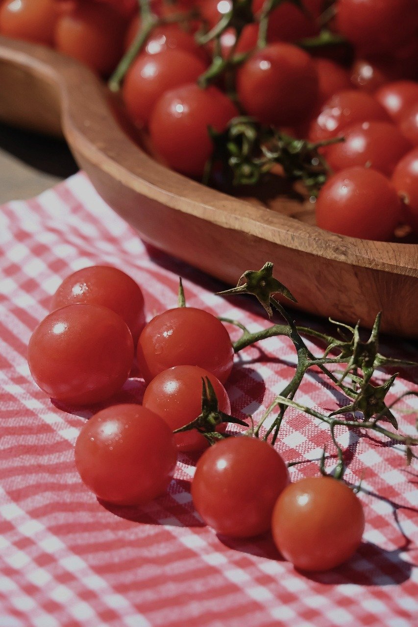 Mes voisins curieux m’ont demandé le secret : fabriquer un tuteur à tomates maison en un rien de temps