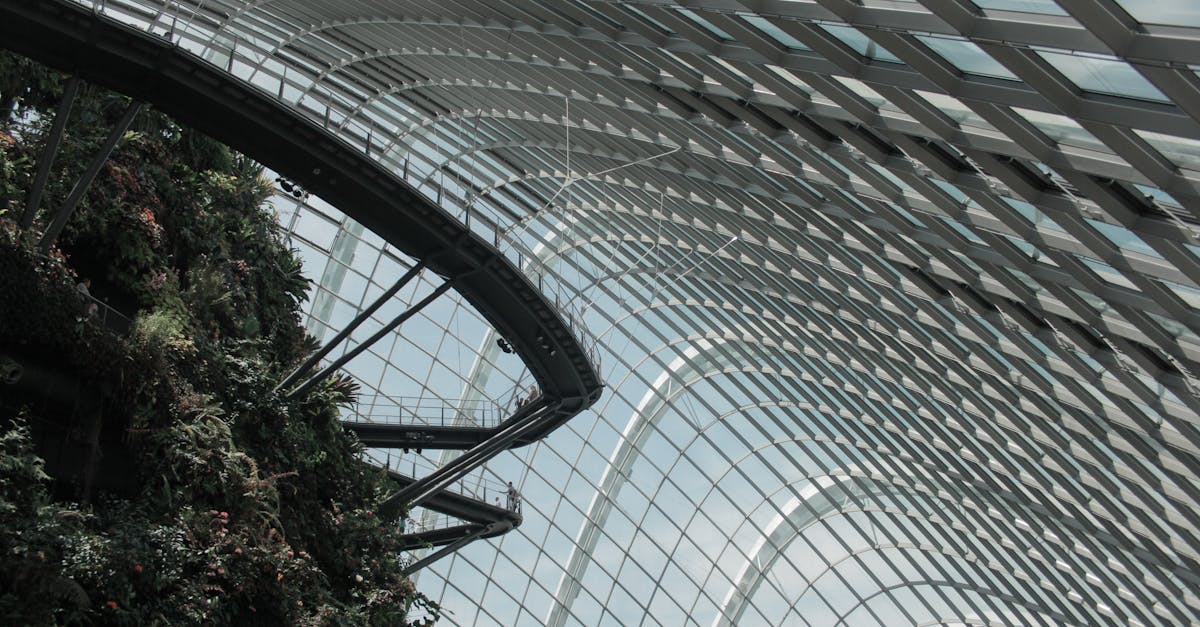 Adaptation climatique : Stratégies efficaces pour faire face aux défis environnementaux