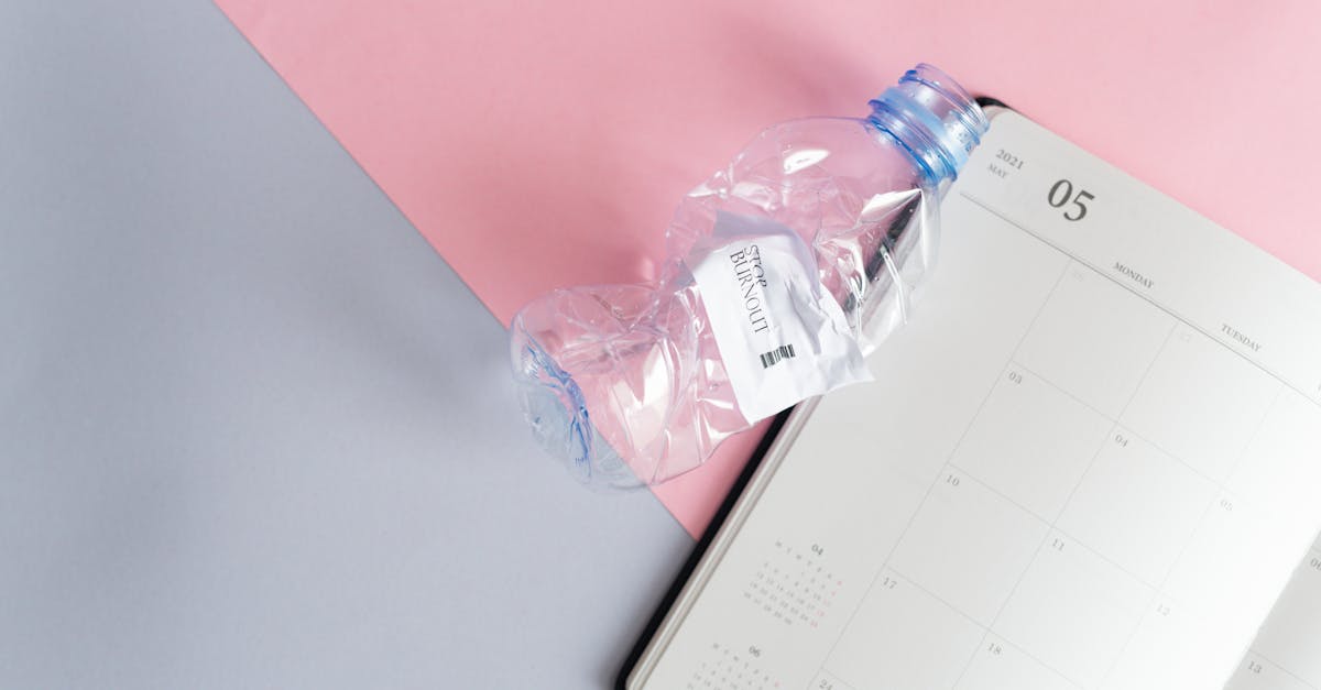 Plan de gestion durable : stratégies clés pour un avenir écoresponsable
