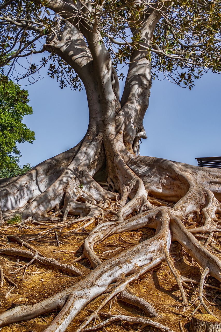 Arbre et Paysage 32 : Une dynamique active malgré les incertitudes financières