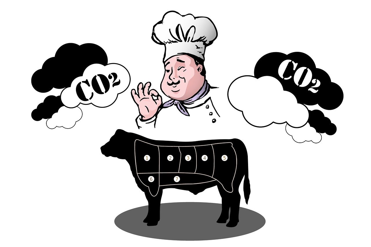 Qu’est-ce qu’un bilan carbone ?