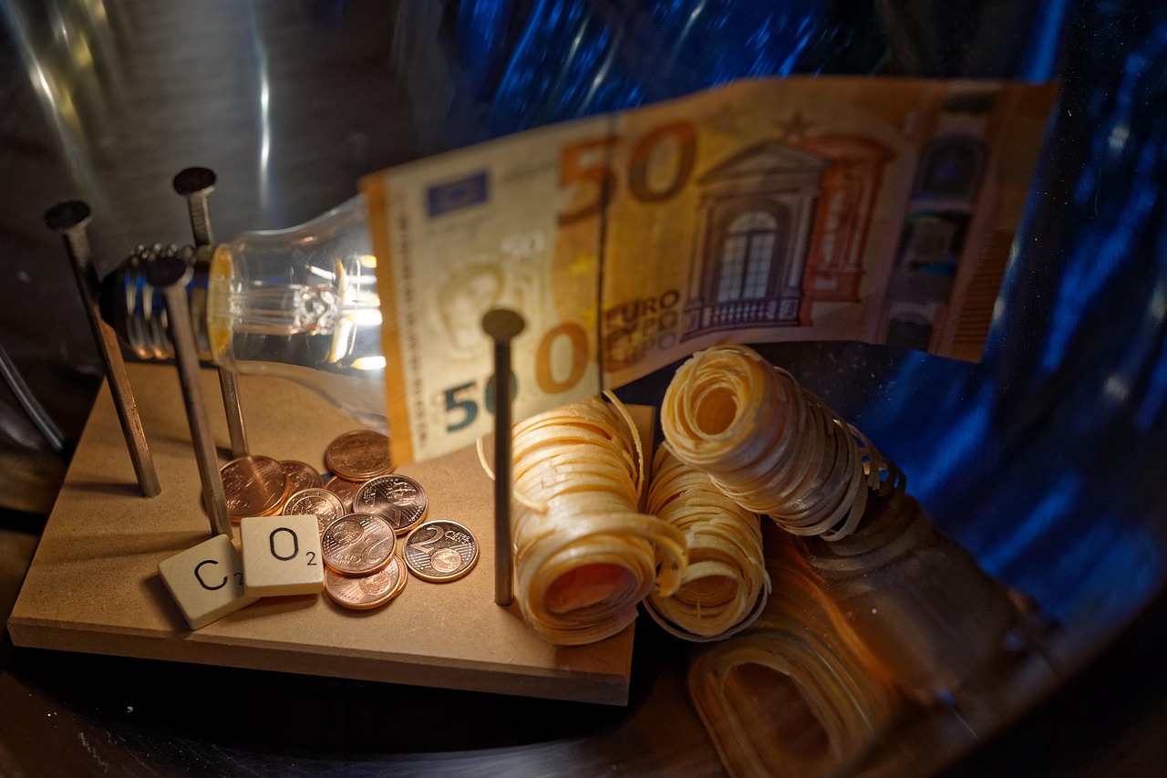 tonnes de CO₂ pour un vol à Tahiti : l’appli d’un Eurois qui veut éveiller nos consciences environnementales