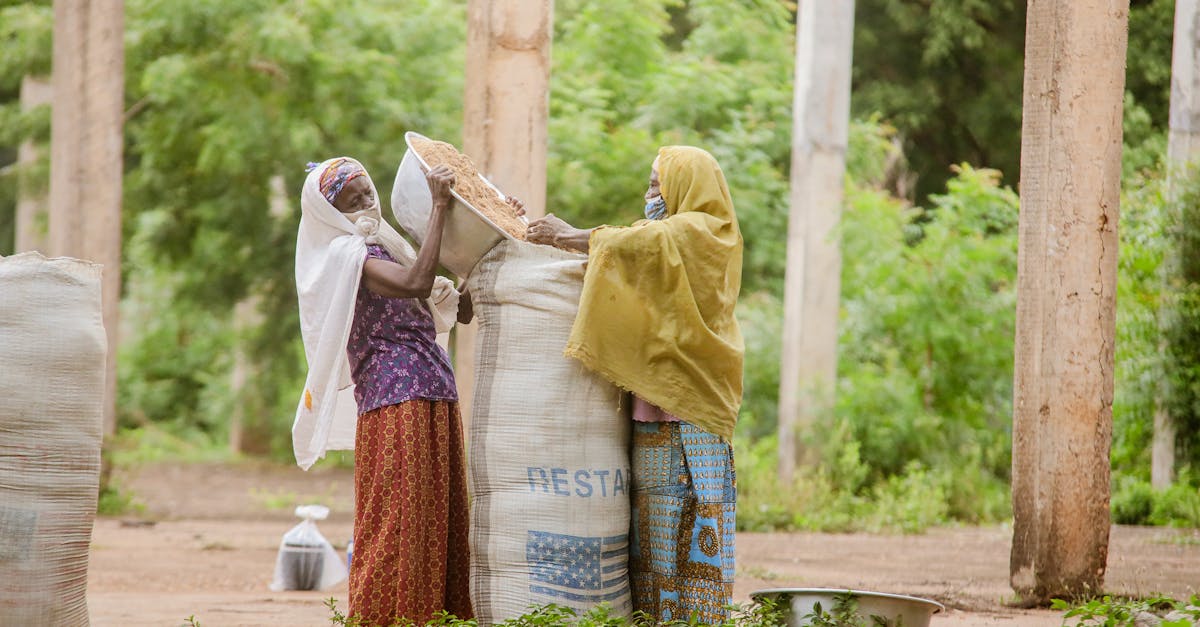 Consommation responsable : Comment adopter des habitudes durables au quotidien