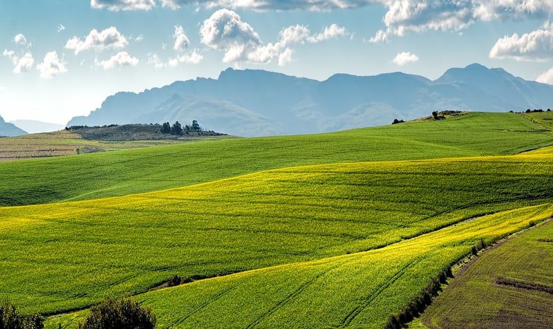 Comment le secteur agricole affecte notre bilan carbone
