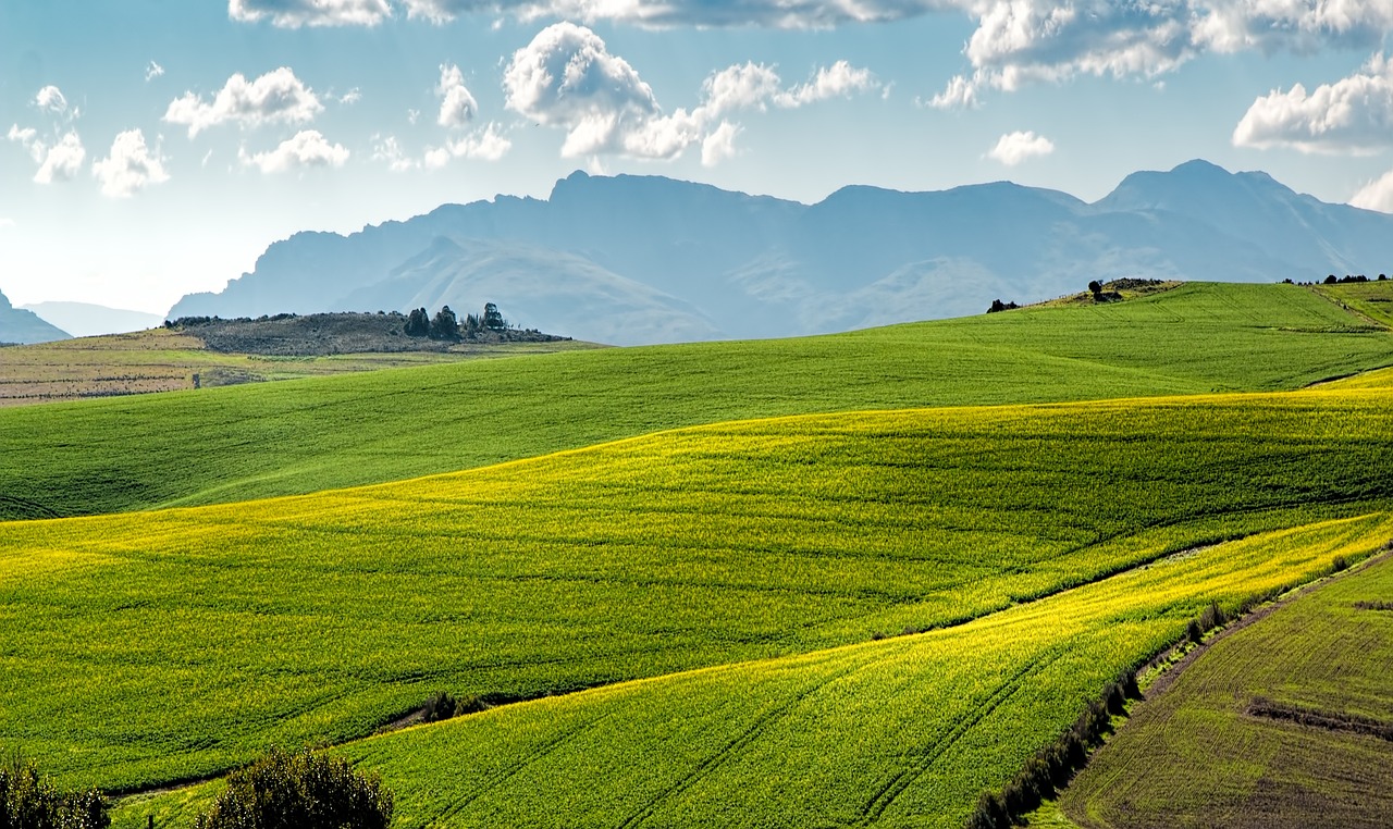 Comment le secteur agricole affecte notre bilan carbone