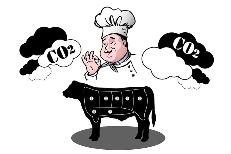 Bilan carbone et changement climatique : quel lien ?