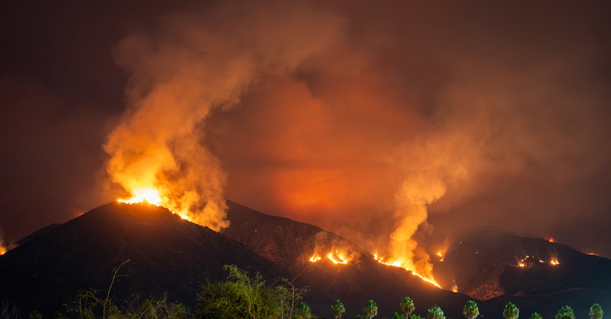 Impact environnemental : comprendre ses effets sur notre planète