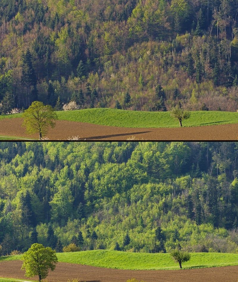 Les émissions de CO2 qui impactent le bilan carbone ‘officiel’ de la Suisse